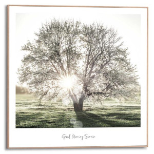 Wandbild SUNBEAM Tree Slim Frame Wood ca. 50x50 cm SMF87282 | 1