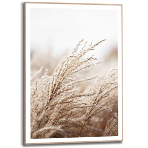 Wandbild FIELD Grass Slim Frame Wood ca. 50x70 cm SMF87289 | 1