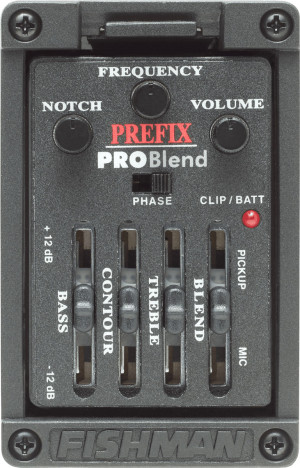 Fishman Amps Pro Blend Format Etroit