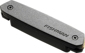 Fishman Micro NEO-d Simple Bobinage