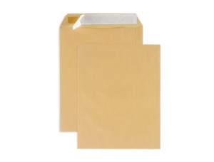 Raja 300 Bolsos de Papel Kraft 26 X 33 cm YOUDOIT