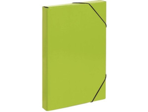 Staples Pasta com Elásticos 40 mm (Verde)