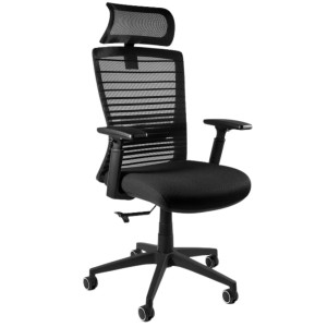 Fotel ergonomiczny Exeter