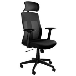Fotel ergonomiczny Explore