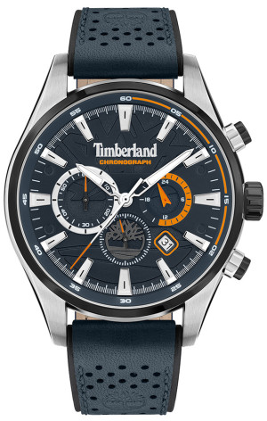 Zegarek Timberland TBL.TDWGC2102403 / ALDRIDGE / męski / pasek