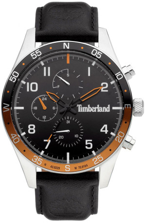 Zegarek Timberland TBL.TDWGF2100503 / CHICOPEE / męski / pasek