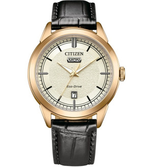 Zegarek Citizen AW0153-04A (AW015304A)