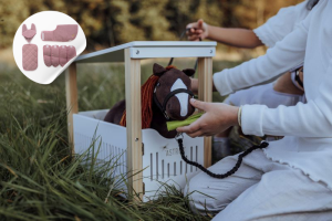 Kolekcja Minis Astrup 4w1 Pixi różowy- sklep z zabawkami online