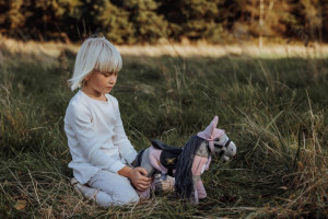 Kolekcja Minis Astrup 4w1 Lucky różowy- sklep z zabawkami online