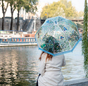 Parasol przeciwdeszczowy dla dorosłych Ptaki Djeco- sklep z zabawkami online