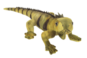 Maskotka Iguana 49 cm Teddy Hermann- sklep z zabawkami online