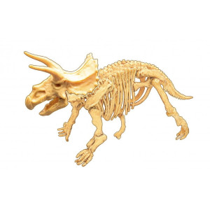 Mały paleontolog - Triceratops 445TRI- sklep z zabawkami online