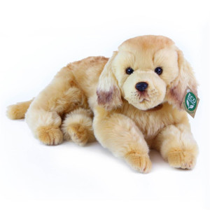 Pluszowy pies Golden Retriever 32cm Rappa- sklep z zabawkami online