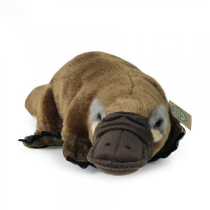 Pluszowy dziobak 30 cm Rappa- sklep z zabawkami online