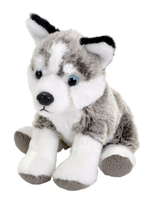 Piesek Husky maskotka dla dziecka 12 cm Eco Pocketkins Wild Republic- sklep z zabawkami online