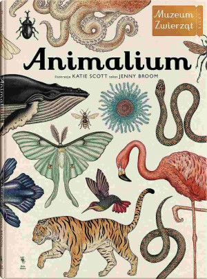 Animalium. Wydawnictwo Dwie Siostry- sklep z zabawkami online