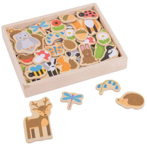 Drewniane magnesy Leśny Świat 35 sztuk Bigjigs Toys- sklep z zabawkami online