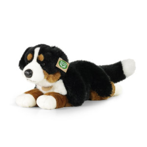 Pluszowy berneński pies pasterski 44 cm Rappa- sklep z zabawkami online