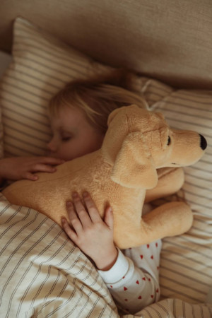 Maskotka obciążeniowa pluszowy piesek terapeutyczny 2,2 kg Astrup- sklep z zabawkami online