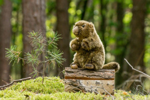 Maskotka Świstak 20 cm Teddy Hermann- sklep z zabawkami online