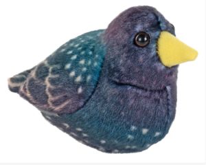 Ptak Szpak maskotka dla dziecka 13 cm RSPB Wild Republic- sklep z zabawkami online