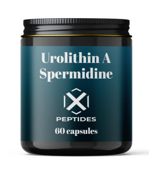 Urolithin A + Spermidine 60 caps