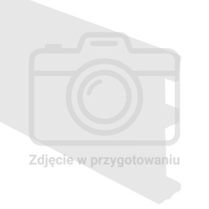Listwa przypodłogowa z gumką NGF 56 mm 2,5 m Dąb Letni