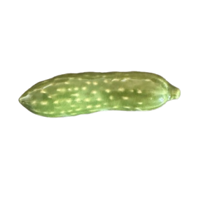 Ceramiczna podstawka pod pałeczki - ogórek