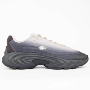Basket Lacoste Spinor Homme Gris 41