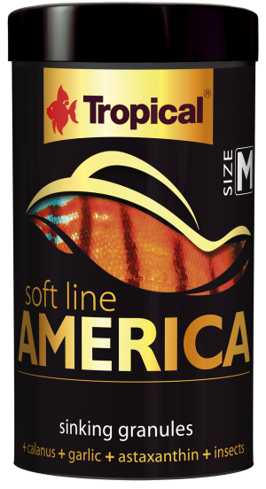 TROPICAL SOFT LINE AMERICA SIZE M 100ML/60G 67423