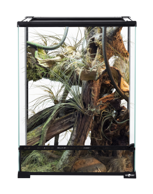 Repti Planet Terrarium Szklane 30x30x45cm dla Małych Gadów Płazów Węży
