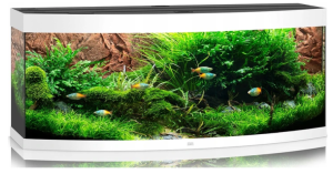 Juwel Vision 450l 151x61x64 cm Zestaw Akwarium Białe 2x23W LED