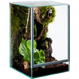 Diversa Terrarium Szklane Pająk z Wentylacją 20x20x30 12l 3mm 119530