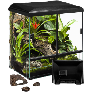 Diversa TerraSet Forest 30 Zestaw Terrarium z Wyposażeniem 30x25x35cm 119733