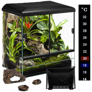 Diversa TerraSet Forest 45 Zestaw Terrarium z Wyposażeniem 45x33x45cm 119734