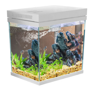 Akwarium HEJ-300 12L Zestaw z Filtrem i Lampą LED 30x20x29,5 cm Białe