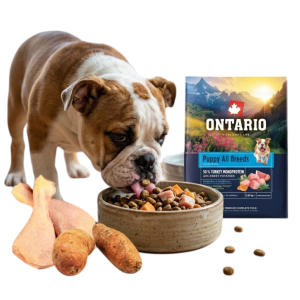 ONTARIO PUPPY ALL BREADS MONO TURKEY&POTATOES 6,5KG Karma Monoproteinowa dla Szczeniąt Wszystkich Ras z Indykiem i Słodkim Ziemniakiem