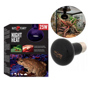 Repti PLANET Night Heat Żarówka Nocna Do Terrarium 25W