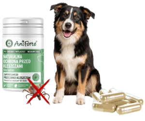 Naturalne Tabletki Dla Dużego Psa AniForte Wsparcie Ochrony Przed Kleszczami 60 sztuk