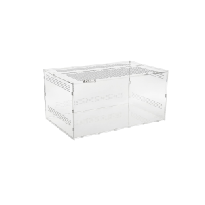 Terrarium Akrylowe DIVERSA 40x25x20 cm Dla Pająka Modliszki