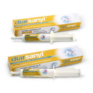 DIARSANYL Plus - Pasta przeciw biegunce 24ml