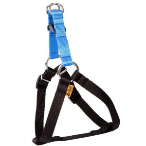 DINGO Szelki Fred Energy - niebieskie Rozm. 60