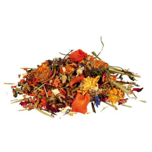 TRIXIE Naturalna mieszanka dla Agamy brodatej 100g