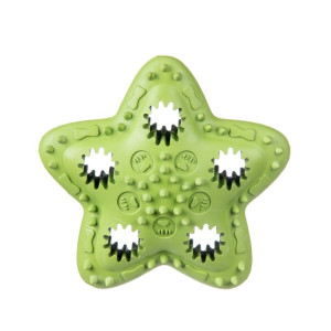 BARRY KING Gwiazda na przysmaki 12,5cm Zielony