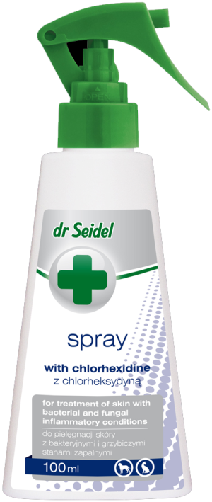 DR SEIDEL Spray z chlorheksydyną 100ml