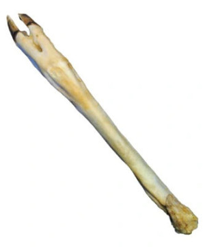 ABAKUS Noga sarny biała 1 szt.