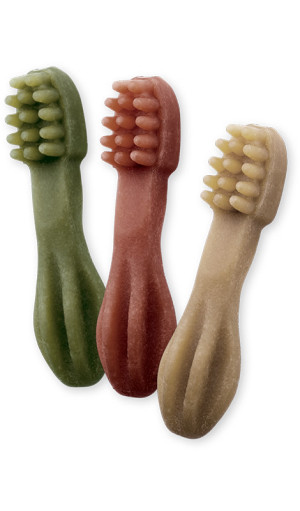 WHIMZEES Gryzak dentystyczny Szczoteczka XS 1 szt.