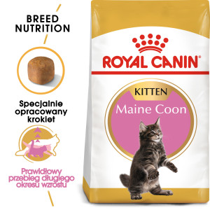 ROYAL CANIN Maine Coon Kitten karma sucha dla kociąt do 15 miesiąca, rasy maine coon 400g