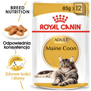 ROYAL CANIN Maine Coon karma mokra w sosie dla kotów dorosłych rasy maine coon 12x 85g
