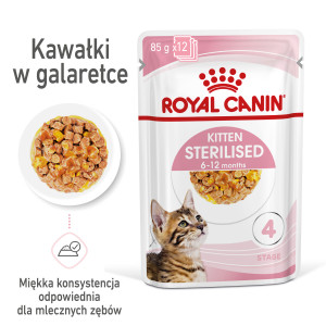 ROYAL CANIN Kitten Sterilised karma mokra w galaretce dla kociąt od 6 do 12 miesiąca życia, sterylizowanych 12x 85g